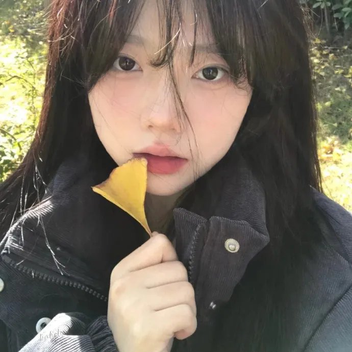 迎春的故事